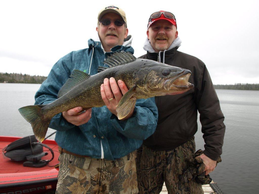 Home - Ontario Walleye Fishing